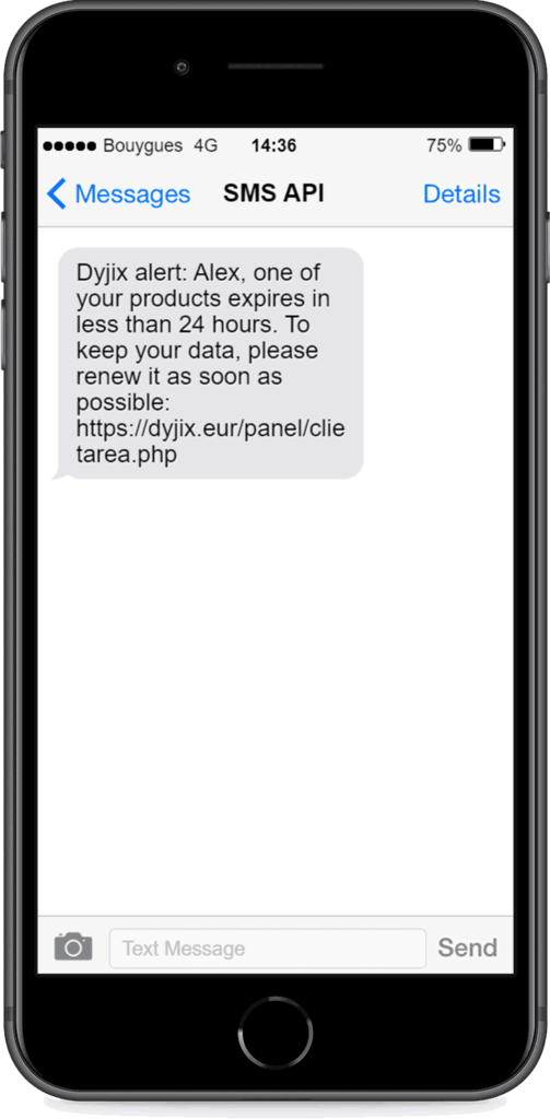 text message example from dyjix